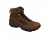 Hawk 4 HTX Brown